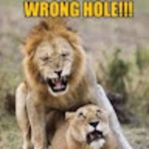 Meet your Posher, Korie